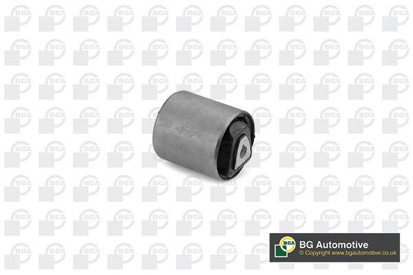 Control Arm-/Trailing Arm Bush - BU0924 BGA
