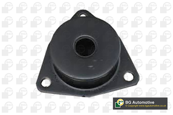 Control Arm-/Trailing Arm Bush - BU4253 BGA