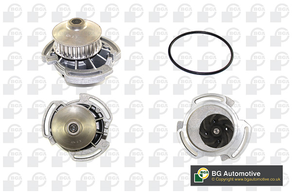 Water Pump - CP2794 BGA