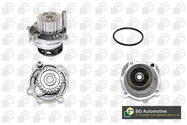 Water Pump - CP3176 BGA