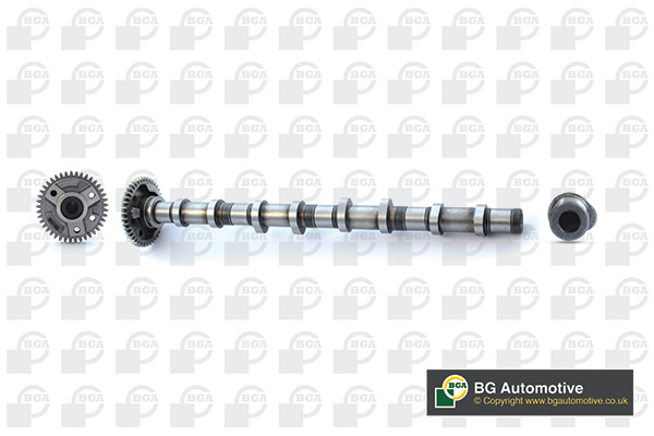 Camshaft - CS0900 BGA