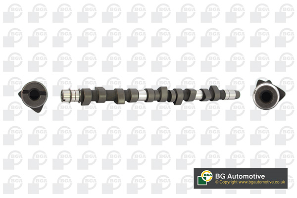 Camshaft - CS3381 BGA