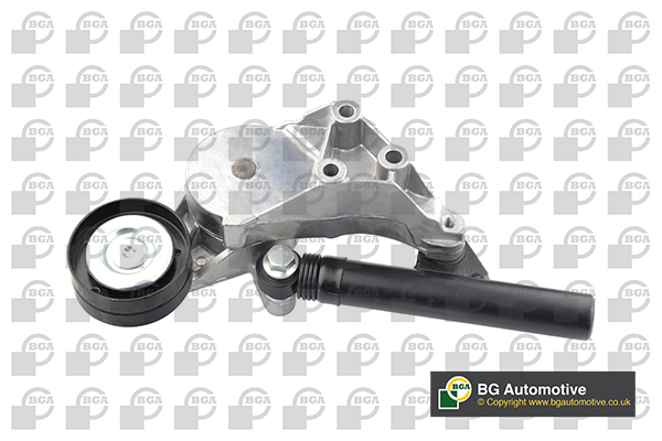 Tensioner Lever, V-ribbed belt - DC0109 BGA