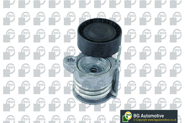 Tensioner Lever, V-ribbed belt - DC0908 BGA