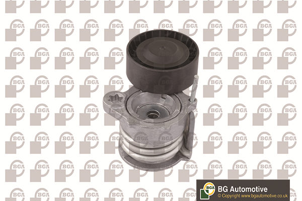 Tensioner Lever, V-ribbed belt - DC0908 BGA