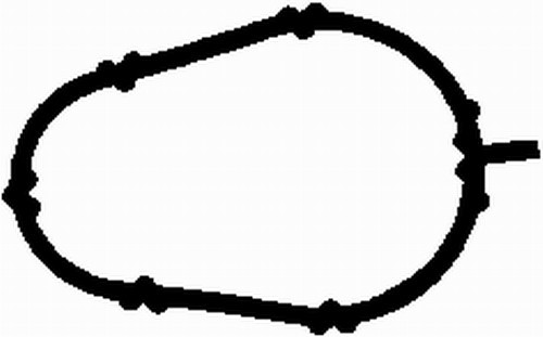Dichtung, Ansaugkrümmer - MG0507 BGA