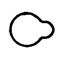 Gasket, intake manifold - MG5556 BGA