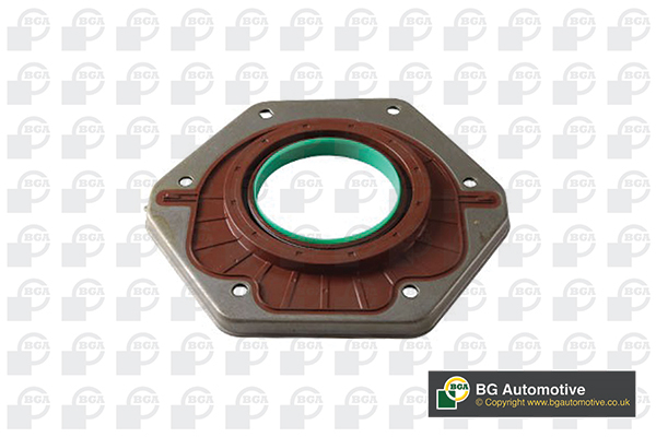 Shaft Seal, crankshaft - OC6396 BGA