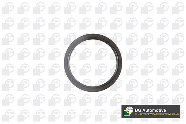 Shaft Seal, crankshaft - OS0361 BGA