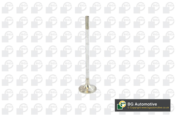 Outlet valve - V016840 BGA