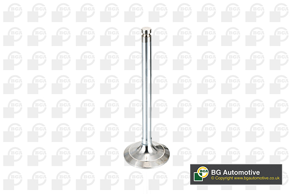 Inlet Valve - V017062 BGA