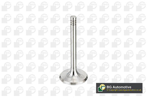 Inlet Valve - V033313 BGA