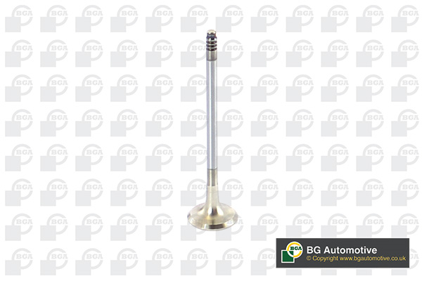 Outlet valve - V090101 BGA