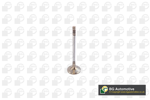 įvado vožtuvas - V142049 BGA