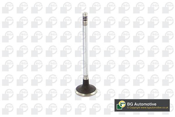 Inlet Valve - V149486 BGA