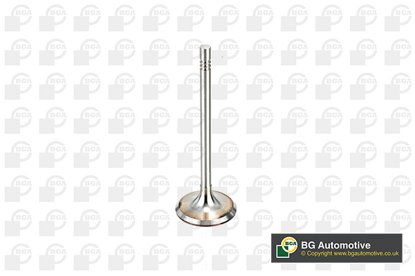 Inlet Valve - V164520 BGA