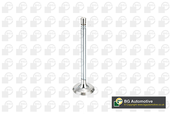 Inlet Valve - V164660 BGA