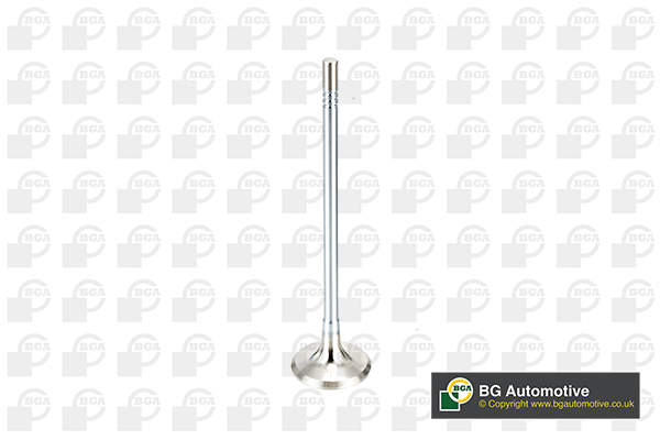 Outlet valve - V165051 BGA