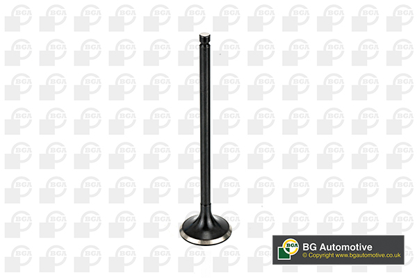 Outlet valve - V165411 BGA