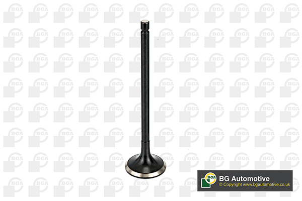 Outlet valve - V166041 BGA