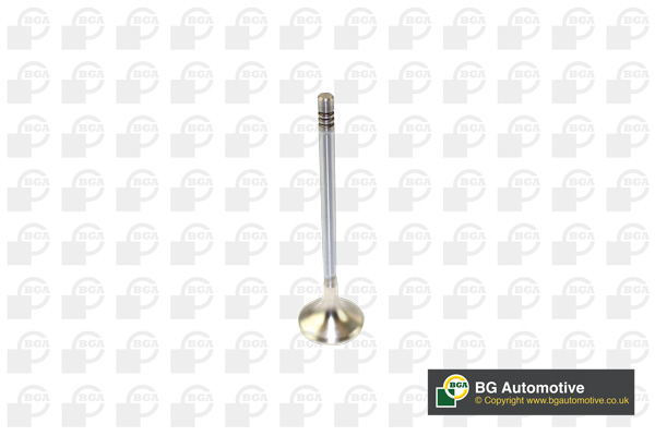 Outlet valve - V166211 BGA