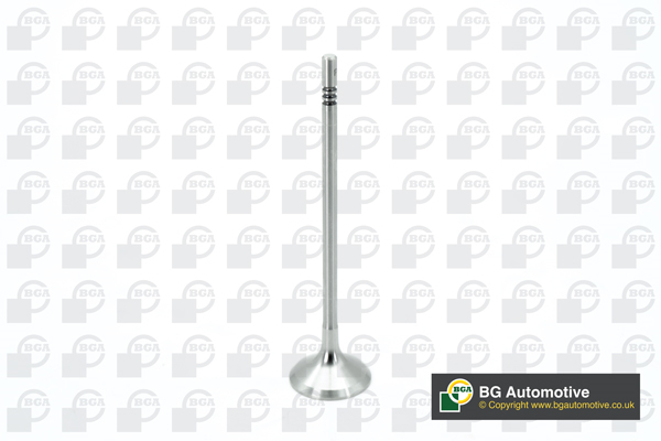 Inlet Valve - V200610 BGA