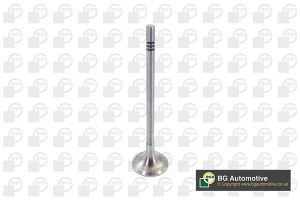 Outlet valve - V200611 BGA