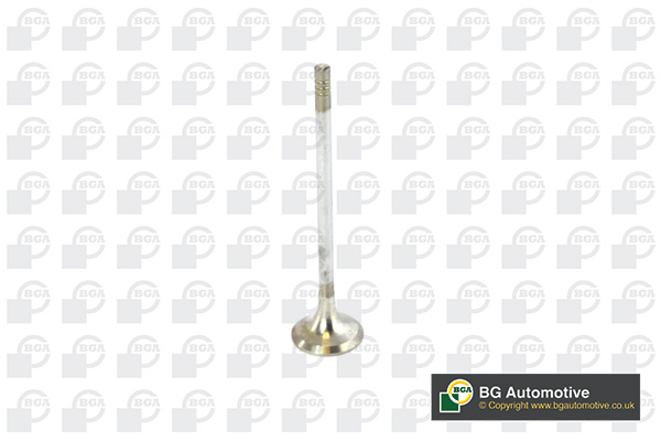Outlet valve - V236820 BGA