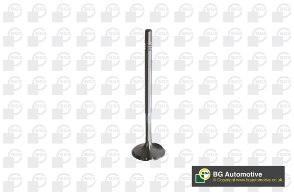 Inlet Valve - V560013 BGA