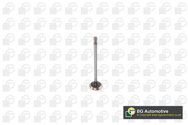 Outlet valve - V611982 BGA