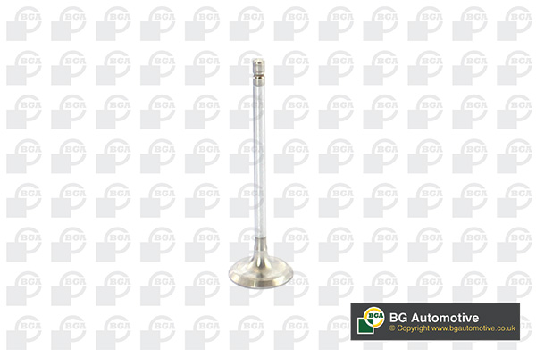 Inlet Valve - V917010 BGA
