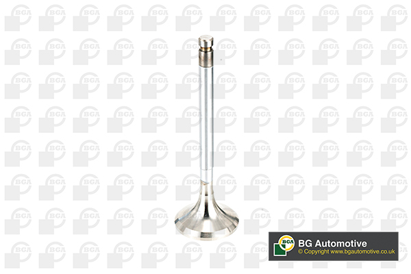 Outlet valve - V991716 BGA