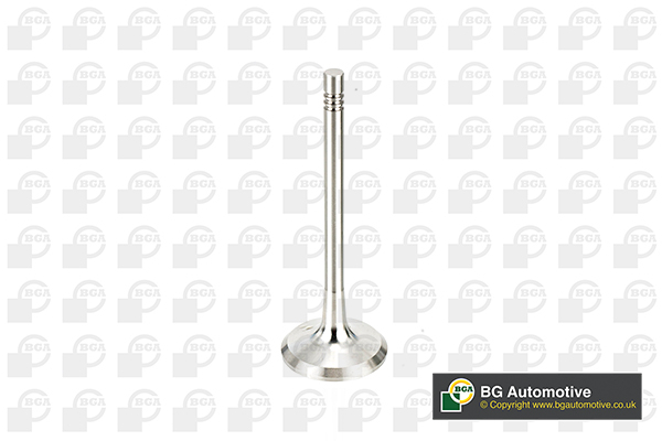 Outlet valve - V991760 BGA