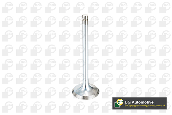 Inlet Valve - V994546 BGA