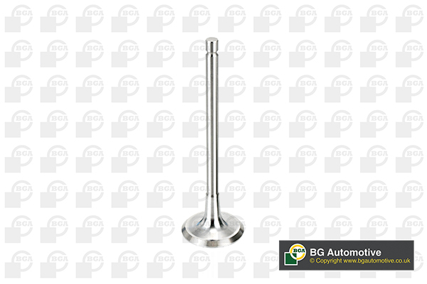 Inlet Valve - V998716 BGA
