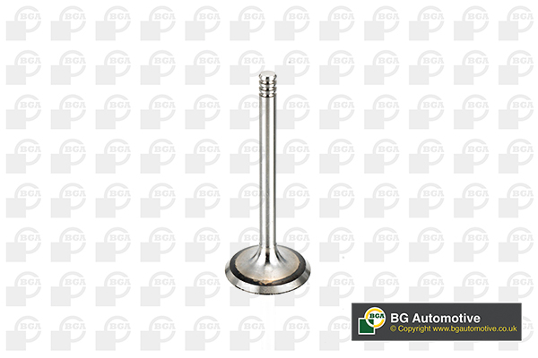 Inlet Valve - V998902 BGA