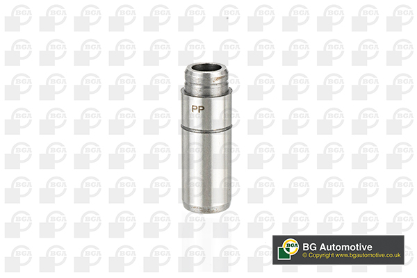 Valve Guides - VG3091 BGA