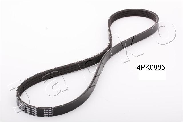 Cinghia Poly-V - 4PK885 JAPKO