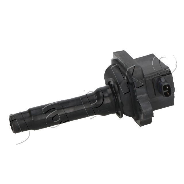 ritė, uždegimas - 78K16 JAPKO