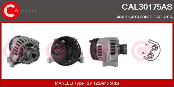 Alternatore - CAL30175AS CASCO