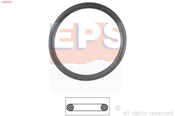 Gasket, thermostat - 1.890.551 EPS