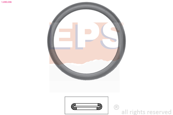 Gasket, thermostat - 1.890.598 EPS