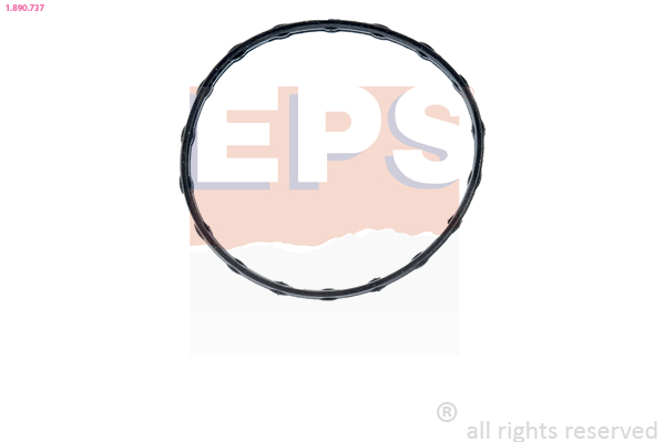 Gasket, thermostat - 1.890.737 EPS