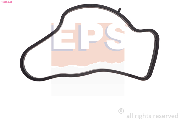 Gasket, thermostat - 1.890.743 EPS