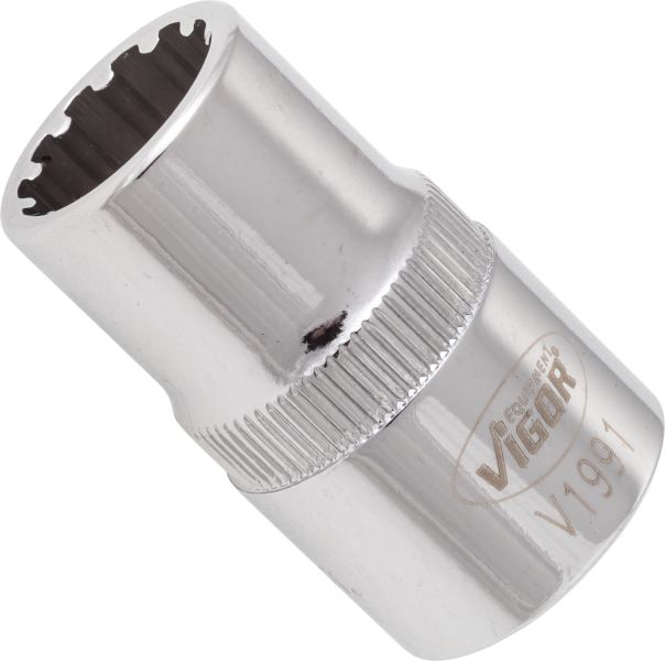 Socket - V1991 VIGOR