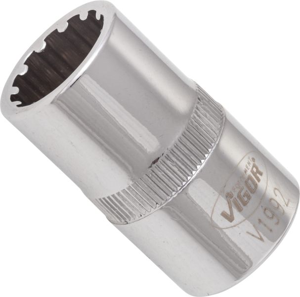 Socket - V1992 VIGOR