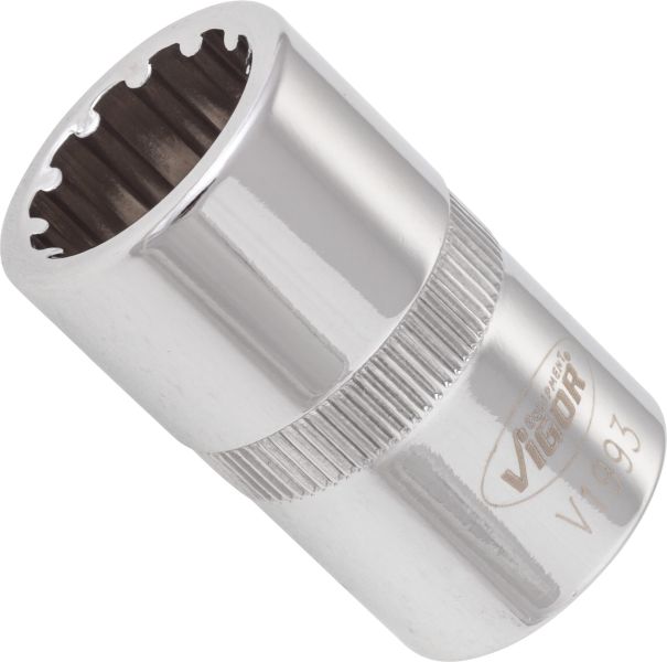 Socket - V1993 VIGOR