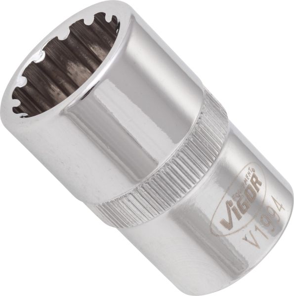 Socket - V1994 VIGOR