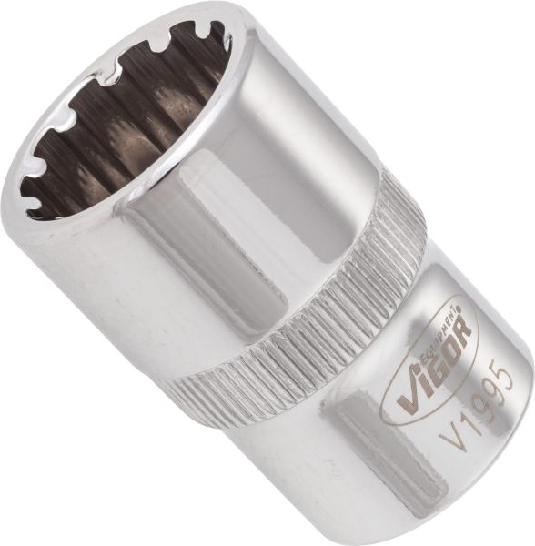 Socket - V1995 VIGOR