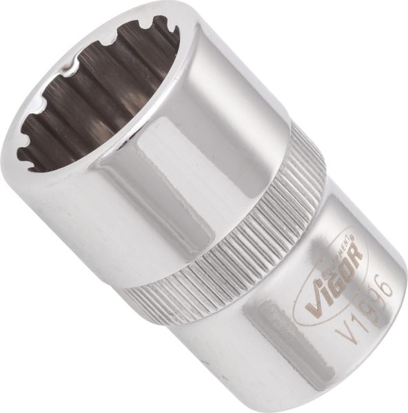 Socket - V1996 VIGOR